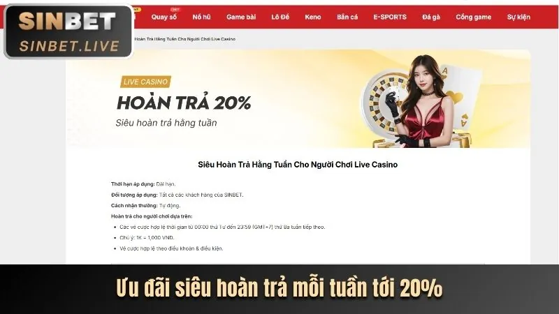 Chương trình VIP và phần thưởng độc quyền Kubet Vina